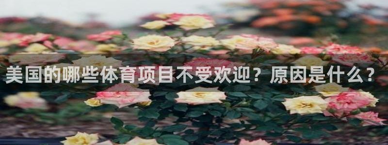看球体育直播app官网免费