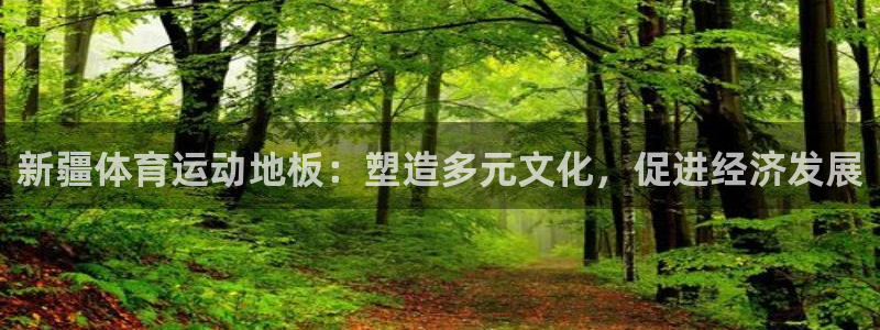 看球体育通直播app下载：新疆体育运动地板：塑造多元文化，促进经济发展