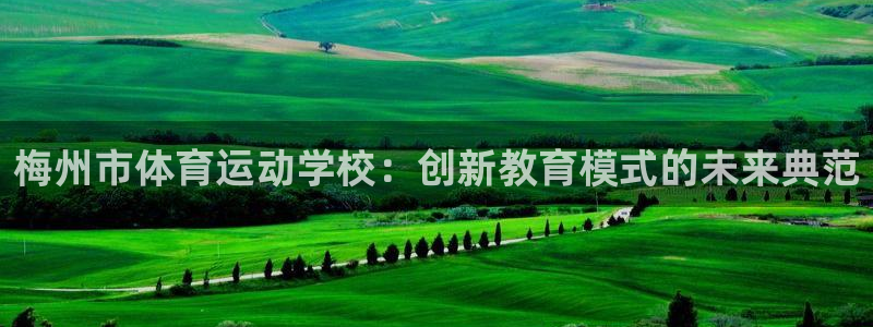 看球体育平台